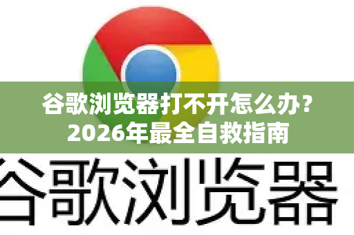 谷歌浏览器打不开怎么办？2026年最全自救指南