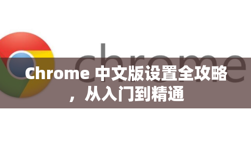 Chrome 中文版设置全攻略，从入门到精通