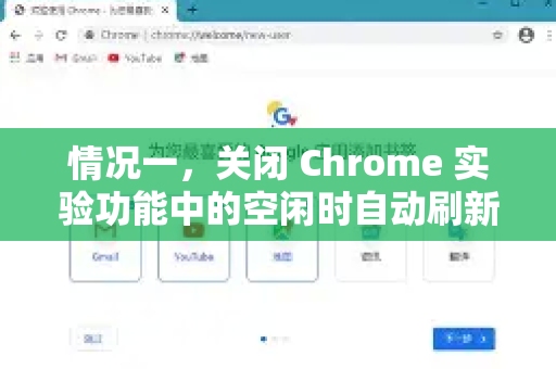 情况一，关闭 Chrome 实验功能中的空闲时自动刷新-第1张图片-Google下载|谷歌浏览器官网-2026最新版