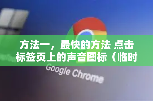 方法一，最快的方法 点击标签页上的声音图标（临时静音）