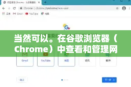 当然可以。在谷歌浏览器（Chrome）中查看和管理网站权限非常方便，你可以控制网站是否能获取你的位置、使用摄像头、发送通知等-第1张图片-Google下载|谷歌浏览器官网-2026最新版