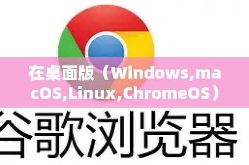 在桌面版（Windows,macOS,Linux,ChromeOS）上开启