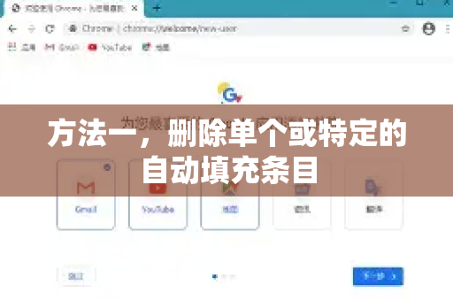 方法一，删除单个或特定的自动填充条目-第1张图片-Google下载|谷歌浏览器官网-2026最新版