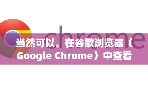 当然可以。在谷歌浏览器（Google Chrome）中查看 Cookie 信息主要有两种常用方法，通过设置页面查看和通过开发者工具查看