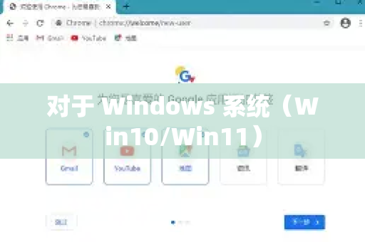 对于 Windows 系统（Win10/Win11）