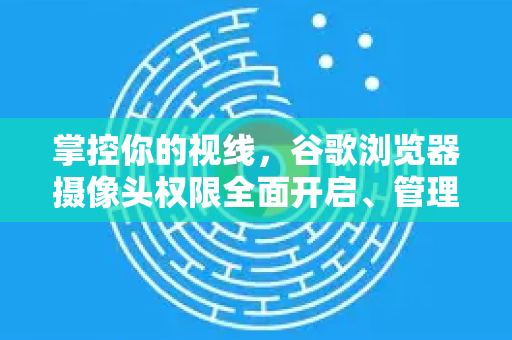 掌控你的视线，谷歌浏览器摄像头权限全面开启、管理与安全维护指南